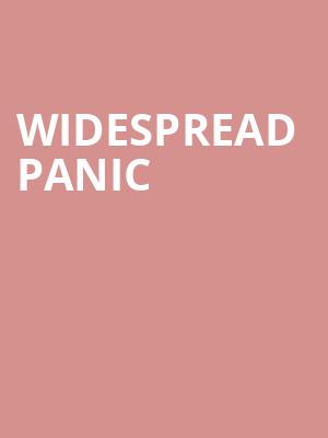 Widespread Panic, Riverside Theatre, Milwaukee