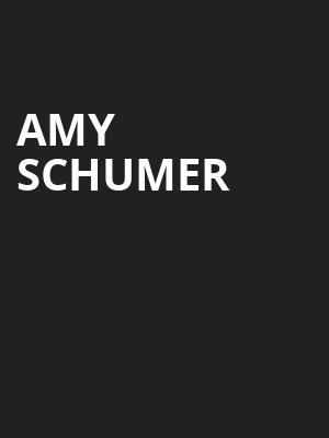 Amy Schumer, Miller High Life Theatre, Milwaukee