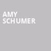 Amy Schumer, Miller High Life Theatre, Milwaukee