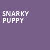 Snarky Puppy, Pabst Theater, Milwaukee