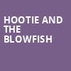 Hootie and the Blowfish, Alpine Valley Music Theatre, Milwaukee