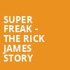 Super Freak The Rick James Story, Miller High Life Theatre, Milwaukee