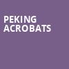 Peking Acrobats, Uihlein Hall, Milwaukee